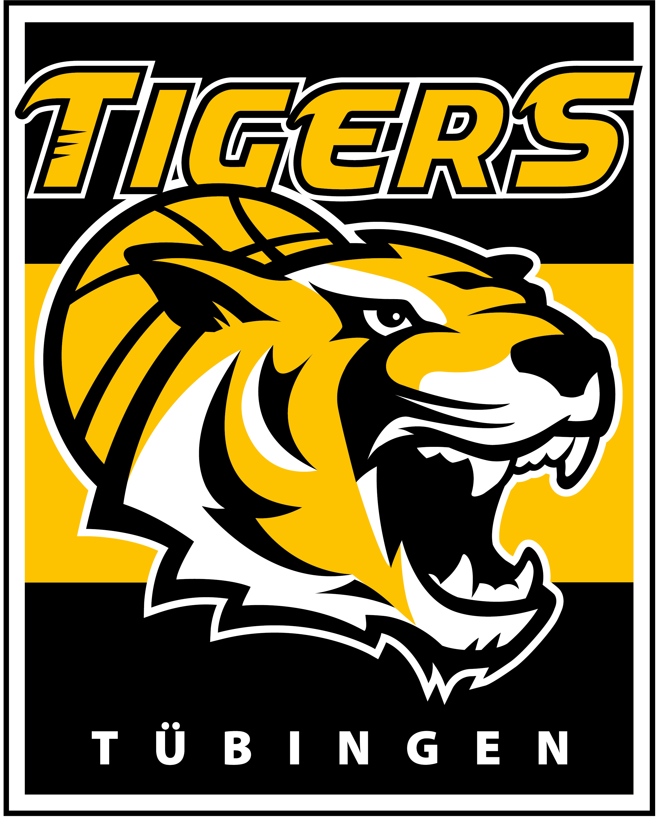 logo_432 Tigers Tübingen